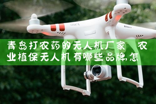 ҹ˻ҵ绰|˻UAV