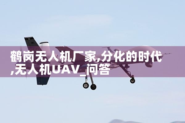 ׸˻|˻UAV