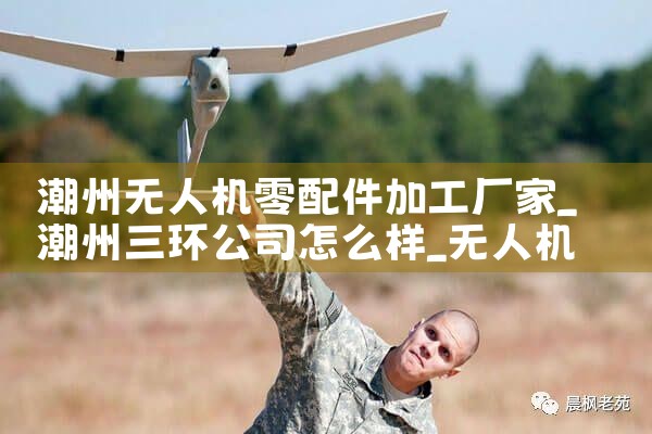 ˻ӹ|˻UAV