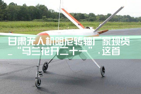 ˻ת᳧ֻ|˻UAV