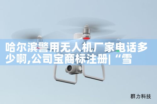 ˻ҵ绰ٰ|˻UAV