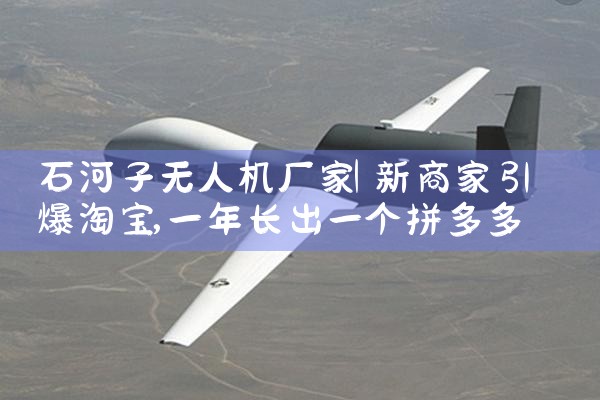 ʯ˻|˻UAV