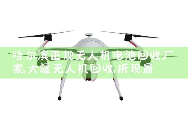 ˻ػճ|˻UAV