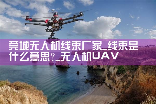 Ϻǧ˻|˻UAV